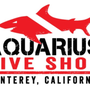 Photo of Aquarius Dive S.