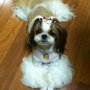 Photo of yunyoung Y.