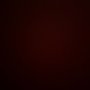 Photo of Dat N.