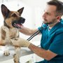 Photo of Veterinary Skin And Ear I.