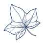 Photo of Ivy Living