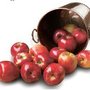 Photo of Applewood G.