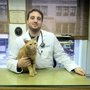 Photo of Dr. D.