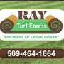Photo of Ray T.