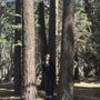 Photo of Brianna F.
