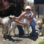Photo of Lisa C.