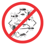 Photo of Jehangir K.