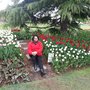 Photo of Nazneen D.