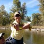 Photo of Shawn N.