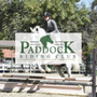 Photo of Paddock Riding C.