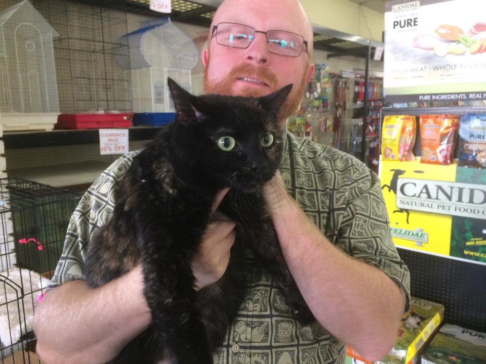 paw shoppe long beach