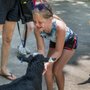 Photo of Milwaukee County Zoo ..