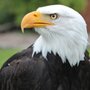 Photo of Houston Y.