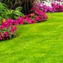 Photo of PJ Gardening S.