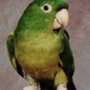 Photo of Kathy S.