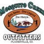 Photo of Mosquito C.