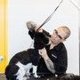 Photo of Sparkle Grooming Co. J.