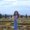Photo of Arlynn R.