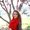 Photo of Mariia B.
