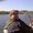 Photo of JEFF J.