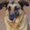 Photo of Joeman Y.