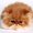 Photo of Cat H.