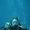 Photo of Valerie L.
