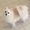 Photo of Dotty R.