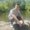 Photo of Devon G.