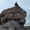 Photo of Uriel R.