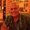 Photo of Dariush D.