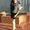 Photo of Tamara S.
