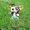 Photo of Qype User (doctor…)