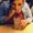 Photo of Griselda M.