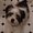 Photo of Bentley P.