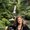 Photo of Laura S.