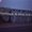Photo of Iz O.