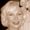 Photo of Jill G.