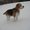 Photo of Daisy O.
