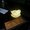 Photo of Logan H.