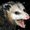 Photo of Jester B.