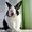 Photo of Raffa C.
