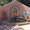 Photo of T A.