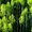 Photo of Qype User (jopel…)