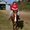 Photo of Cindy K.