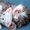 Photo of Qype User (Sasabi…)