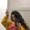 Photo of Lailani R.