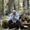Photo of Dameon J.