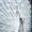 Photo of Qype User (lunati…)