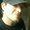 Photo of Todd C.